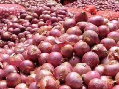 সাড়ে ৫ মাস পর হিলি দিয়ে পেঁয়াজ আমদানি শুরু