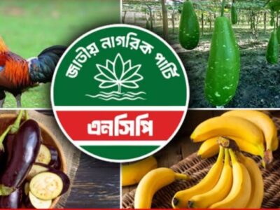 এনসিপিকে বেগুন-কলা-লাউসহ ৫০ প্রতীকের অপশন দিল নির্বাচন কমিশন