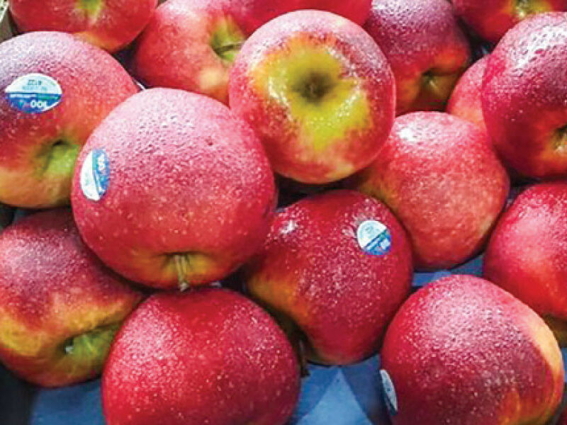 ভারত থেকে আপেল আমদানি শুরু বাংলাদেশের