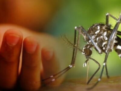 দেশে ডেঙ্গুতে আরও ৫ জনের মৃত্যু