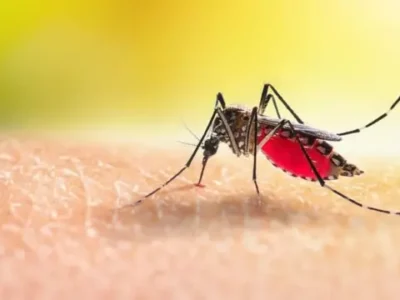২৪ ঘণ্টায় ডেঙ্গুতে ৫ জনের মৃত্যু