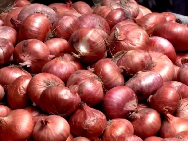 পেঁয়াজের দামে স্বস্তি নেই বাজারে, সরবরাহ বাড়ছে শীতের সবজির