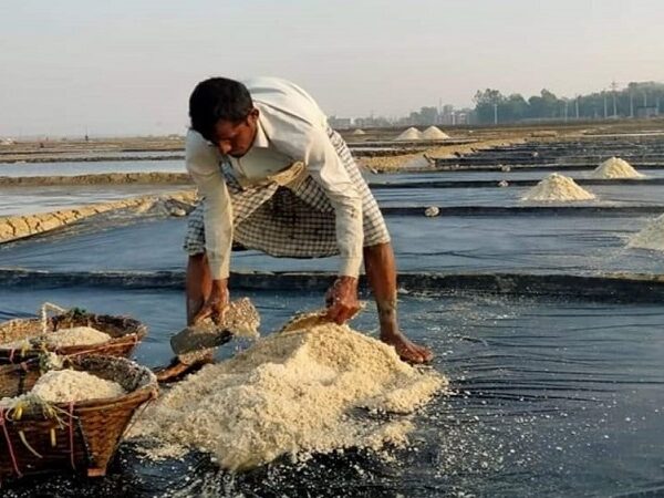 দেশীয় স্বার্থের বাইরে গিয়ে ১ লাখ টন লবণ আমদানীর অনুমতি কার স্বার্থে?