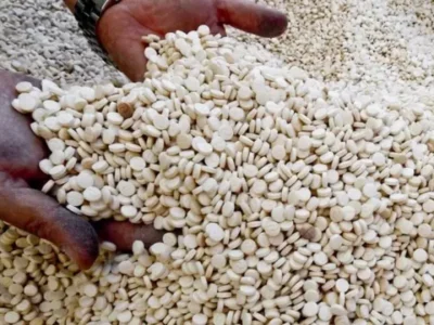 ২৪ এর জুলাই আগস্টে আন্দোলনকারীদের নৃশংস করে তোলার জন্য সরবরাহ করা হয়েছিল ‘কেপ্টাগন’ ড্রাগস