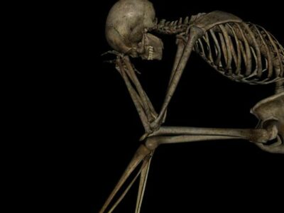 ৭,০০০ টাকায় কেনা মানব কঙ্কাল বিক্রি হয় ২০,০০০ টাকায়