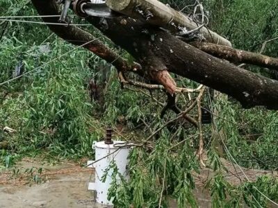 যশোরে কালবৈশাখী ঝড়ে ব্যাপক ক্ষয়ক্ষতি, বিদ্যুৎবিচ্ছিন্ন, এক মৃত্যু