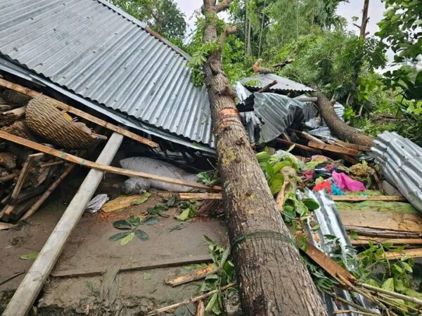 জামালপুরে কালবৈশাখী ঝড়ের তাণ্ডব, গাছের চাপায় মা ও দুই মেয়ের মর্মান্তিক মৃত্যু