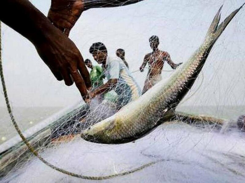 বঙ্গোপসাগরে মাছ ধরায় ৫৮ দিনের নিষেধাজ্ঞা! জেলেরা আশঙ্কায় ভুগছেন