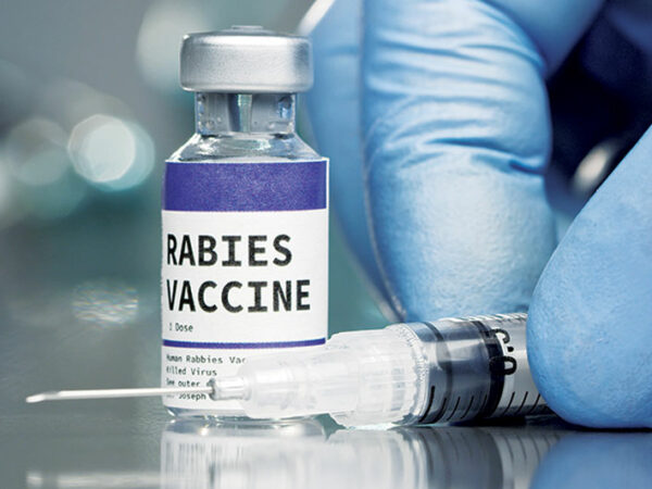 জ্বরের রোগীকে কুকুরের ভ্যাকসিন দিলেন চিকিৎসক, শাস্তি কেবল বদলি