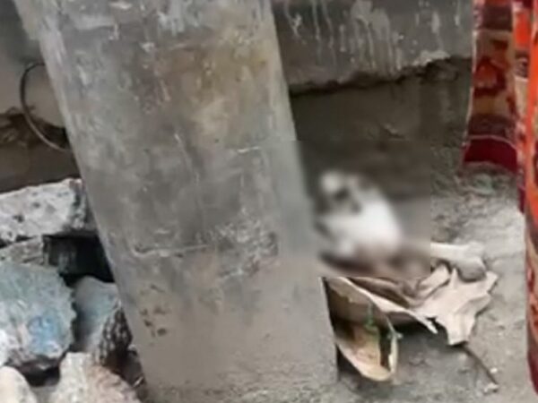 ক্রাইম হটস্পট হয়ে ওঠা মোহাম্মদপুরে রাস্তার পাশ থেকে হাড়-খুলি উদ্ধার!
