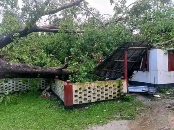 গাইবান্ধায় কালবৈশাখীর তাণ্ডব: লণ্ডভণ্ড ঘরবাড়ি ও শিক্ষাপ্রতিষ্ঠান