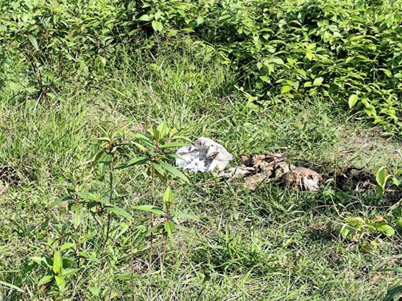 ফটিকছড়িতে এক সপ্তাহের ব্যবধানে খণ্ডিত মরদেহ ও মাথার খুলি উদ্ধার, সন্ত্রস্ত এলাকার মানুষ