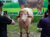 কোরবানি হচ্ছেনা ‘ডোনাল্ড ট্রাম্প’-এর, ঠিকানা চিড়িয়াখানা