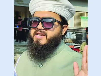‘এই মিয়া চুপ করেন, একেবারে খেয়ে ফেলব’: সালিশে এমপি হানজালার হুমকি