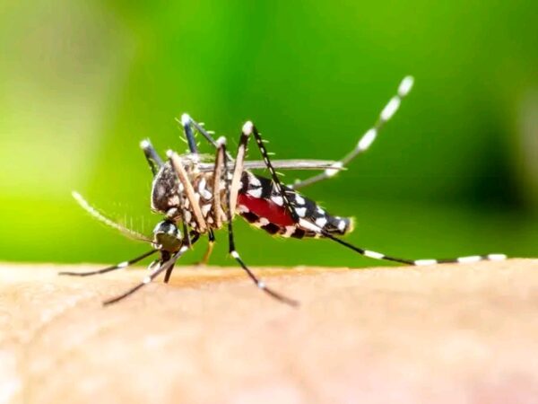 চট্টগ্রাম সিটি কর্পোরেশনের আটটি ওয়ার্ডকে অতি ঝুঁকিপূর্ণ বা ‘রেড জোন’ হিসেবে চিহ্নিত, বাড়ছে ডেঙ্গুর উপদ্রব