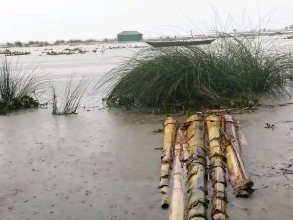 কুড়িগ্রামে বন্যা আতঙ্ক: প্লাবিত হচ্ছে নতুন নতুন এলাকা, নদীভাঙনে দিশেহারা মানুষ