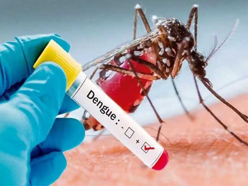 হামের সাথে চোখ রাঙাচ্ছে ডেঙ্গু, আরও ১০১ জন হাসপাতালে ভর্তি