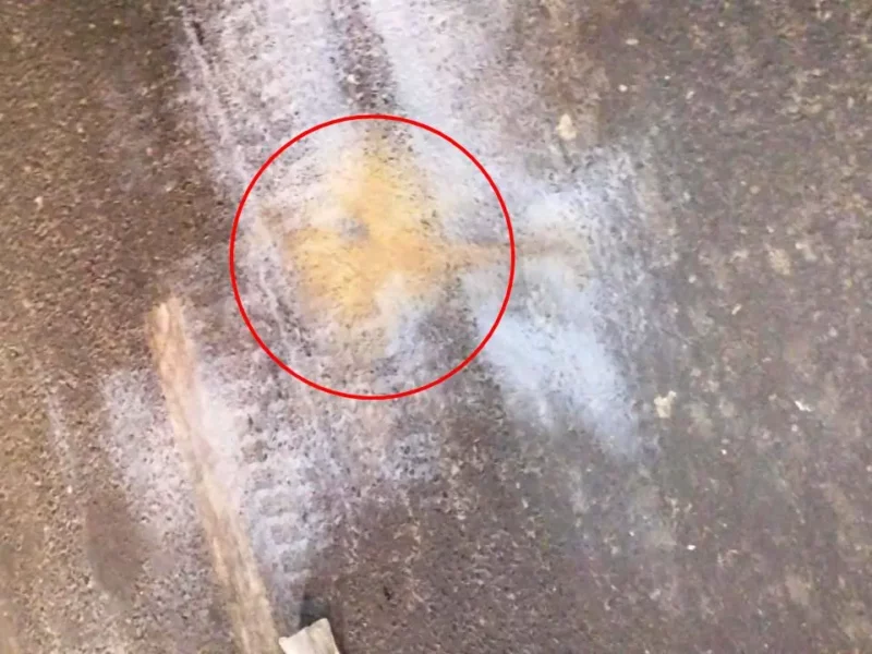 ঢাকার টেকনিক্যাল মোড়ে ককটেল বিস্ফোরণ