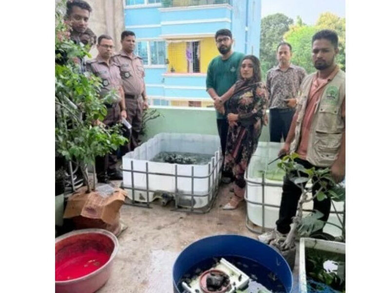 রাজধানী থেকে মেক্সিকান ব্ল্যাক কিংস্নেক, গোল্ডেন চাকুনি ট্যারান্টুলাসহ মোট ১১০৪ বিদেশি বন্যপ্রাণী উদ্ধার, গ্রেপ্তার ১