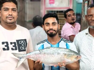 চাঁদপুরে এক ইলিশের দাম ২২ হাজার ৭৯৮ টাকা!