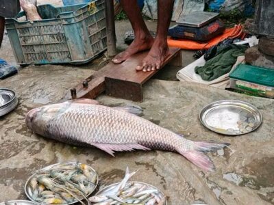 টানা বৃষ্টিতে মাছ-সবজির বাজারে আগুন, হাত দিলেই ছ্যাঁকা লাগছে ক্রেতাদের