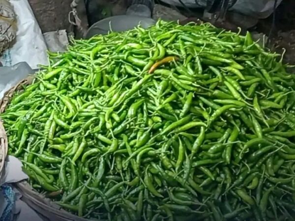 বাজারে তাপ ছড়াচ্ছে সবজি, কাঁচা মরিচ ৪০০