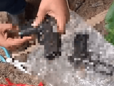 চট্টগ্রামে ৫ আগস্ট থানা থেকে লুট হওয়া দুটি পিস্তল আমবাগান বস্তি থেকে উদ্ধার!