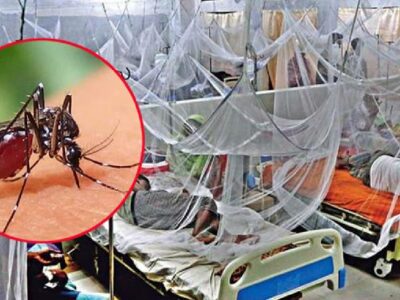 ডেঙ্গুতে আরও ৩ জনের মৃত্যু, হাসপাতালে ভর্তি ৫৩৪