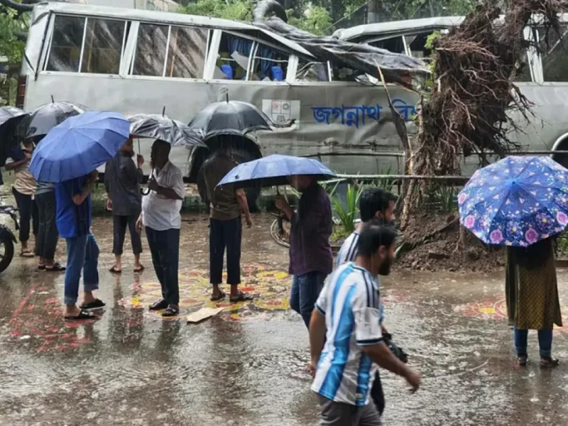 জবিতে বাসের ওপর আচমকা উপড়ে পড়ল গাছ, অল্পের জন্য রক্ষা পেলেন শিক্ষার্থীরা