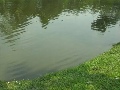 মোবাইলে আর্জেন্টিনার খেলা দেখায় মগ্ন, খালে পড়ে মৃত্যু যুবকের