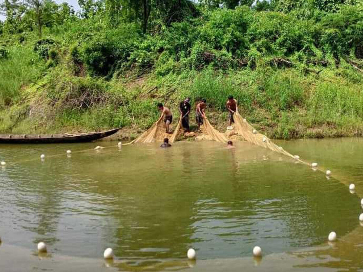 সাড়ে ৩ মাস নিষেধাজ্ঞা শেষে কাপ্তাই হ্রদে মৎস্য আহরণ শুরু, ফিরলো প্রাণচাঞ্চল্য