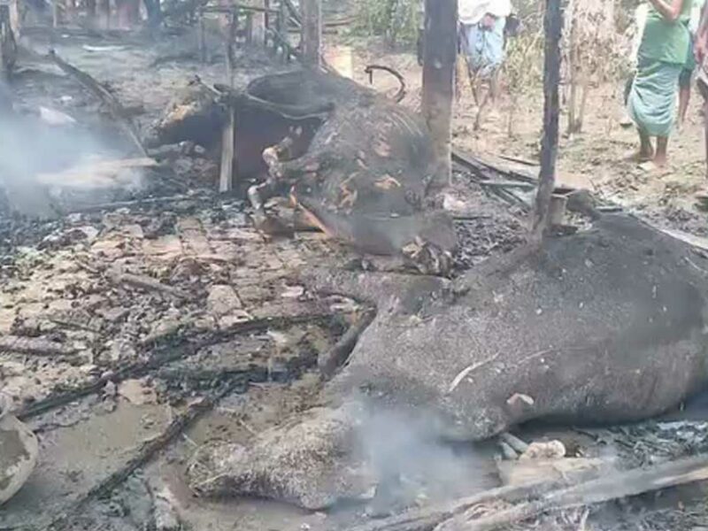পেকুয়ায় ভয়াবহ আগুনে সর্বস্বান্ত হয়ে গেছে প্রবাসীর পরিবার! পুড়েছে চারটি গবাদিপশু, নগদ টাকা