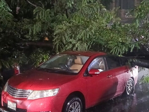ধানমন্ডিতে গাছ উপড়ে দুমড়েমুচড়ে গেলো ৩ প্রাইভেটকার! হতাহত নেই