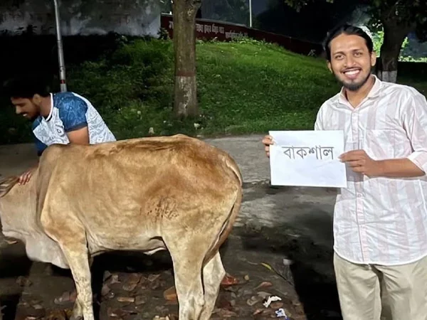 বঙ্গবন্ধুর মৃত্যুবার্ষিকীতে গরু জবাই করে উদযাপন! রাকসু জিএস আম্মারের নিকৃষ্ট কর্মকাণ্ডে জনগণ ক্ষুব্ধ