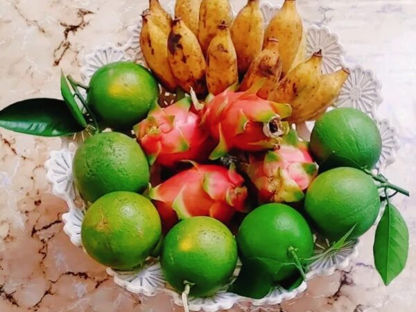 এখন মাল্টা ও কমলা প্রায় ৪৫০ – ৮০ টাকা, আপেল ৩৮০ – ৫২০ টাকা, ডাব ১৫০! গরীবেরা ডেঙ্গুতেও মরছে, না খেয়েও মরছে
