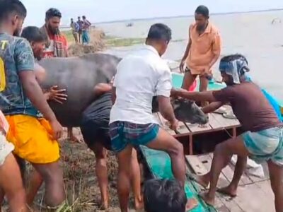 চরের ঘাস খাওয়াইতে হইলেও নাকি চাঁদা লাগে! কি অদ্ভুত জমানা আইলো! চাঁদা না পেয়ে বিষ প্রয়োগ ছাত্রদল নেতার, তিন মহিষের মৃত্যু