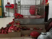 ফরিদপুরে মন্দির থেকে কষ্টিপাথরের কালী প্রতিমাসহ ৭-৮ ভরি স্বর্ণালংকার, পিতলের বিষ্ণু, রাধাকৃষ্ণ, মনসা মূর্তি চুরি!