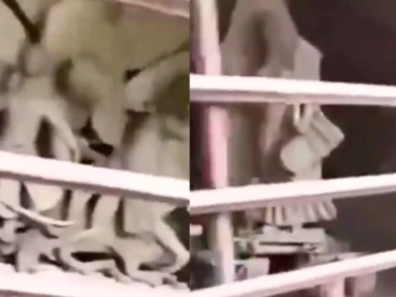 হাতেগোনা কয়েকটা দিন বাকি দুর্গাপুজোর! তার আগে ভাঙা হল হিন্দু দেব-দেবীর মূর্তি