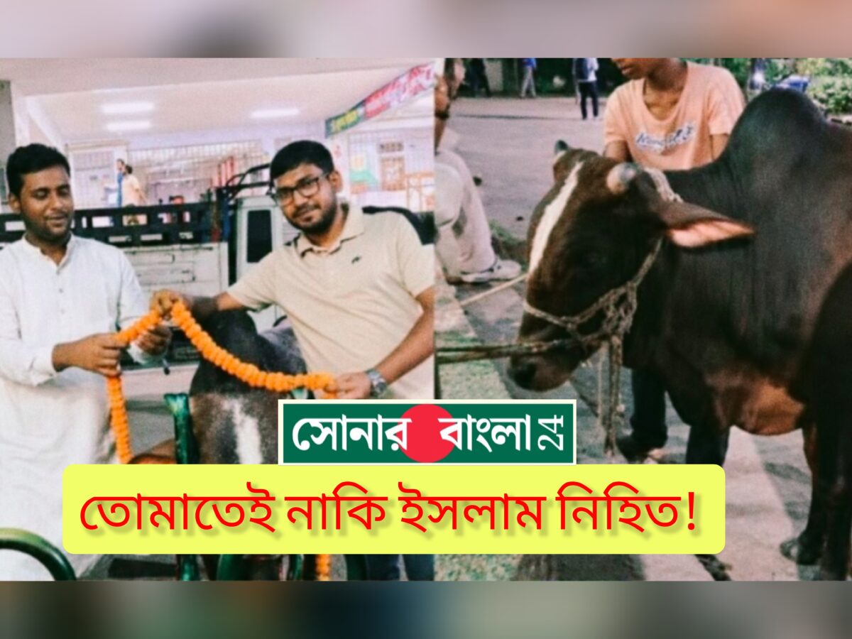 হায়রে গরু! তোমাতেই নাকি ইসলাম নিহিত! সাম্প্রদায়িকতার চরম বিষবাষ্প চারিদিকে, এই বিষাক্ত পরিবেশ থেকে শিক্ষাঙ্গন-শিক্ষার্থীদের রক্ষা করার কেউ নেই?