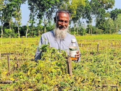 বালাইনাশক স্প্রে করার পরেই নষ্ট হতে শুরু করে করল্লার বাগান, দেড় লাখ টাকার ক্ষতি কৃষকের
