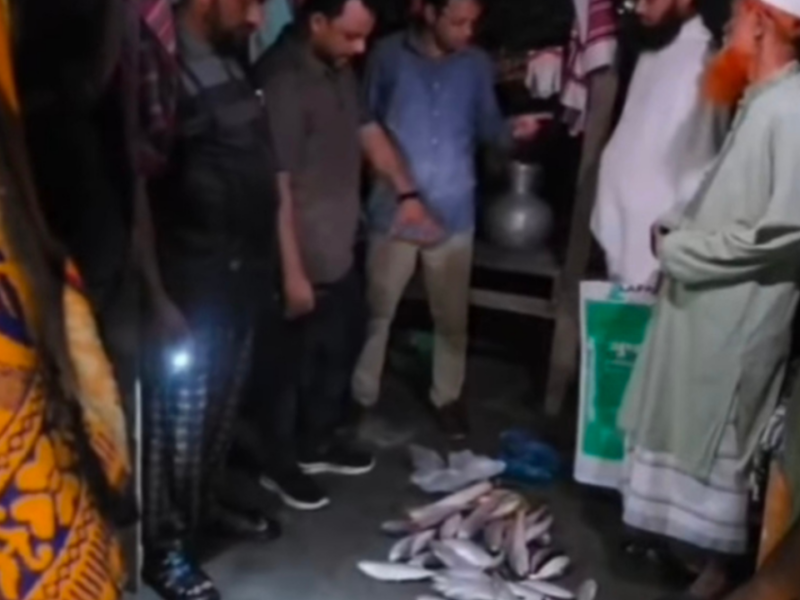 মাদ্রাসা ও এতিমখানায় পাঠানো ২৫ কেজি ইলিশ নিয়ে গেলেন শিক্ষক!